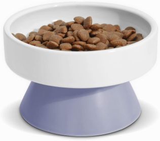 Elevated Dish Feeder (Color: purple)